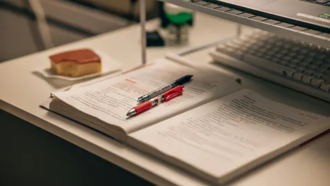 Which Study Plan Works Best for CA Foundation Exams?